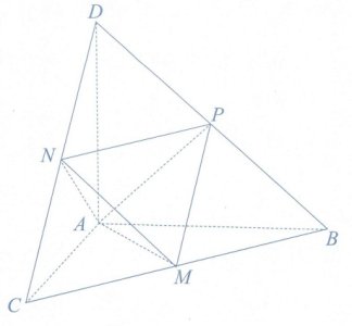 image5.jpg image5.jpg