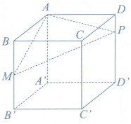 image8.png image8.png