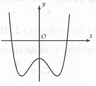 image2.jpg image2.jpg