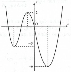 image6.jpg image6.jpg