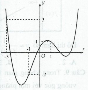 image7.jpg image7.jpg