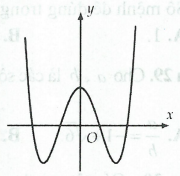 image2.png image2.png