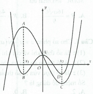 image10.png