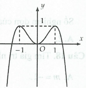 image2.png image2.png