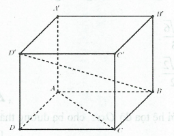 image5.png image5.png