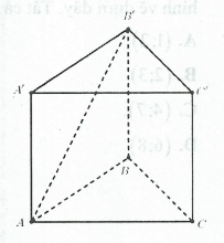 image6.png image6.png