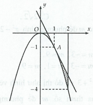 image3.png