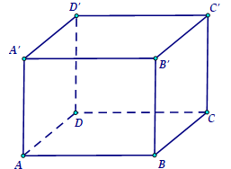 image5.png