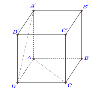 image7.png