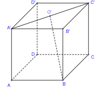image6.png image6.png