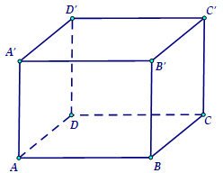 image5.png image5.png