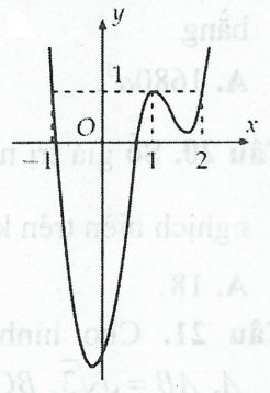 image1.jpg image1.jpg