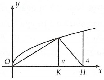 image5.jpg
