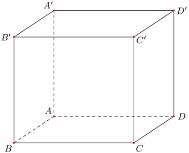 image6.png