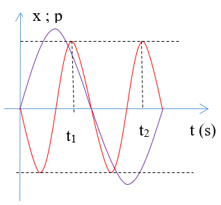 image5.png