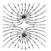 image1.png image1.png
