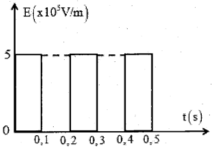image6.png image6.png