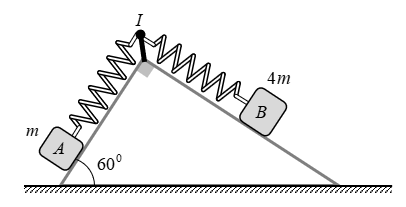 image6.png image6.png