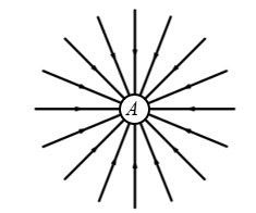 image2.png image2.png