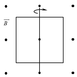 image4.png