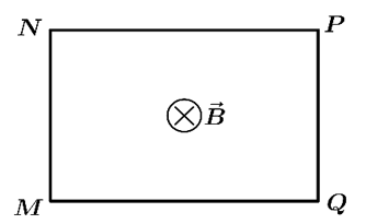 image1.png