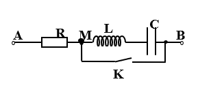 image1.png