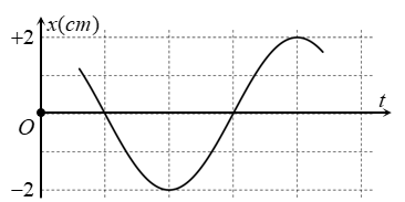 image2.png image2.png