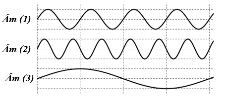 image1.png