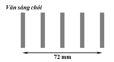 image6.png