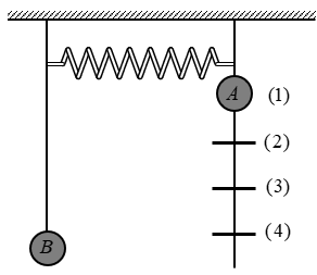 image1.png