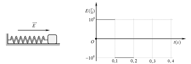 image11.png
