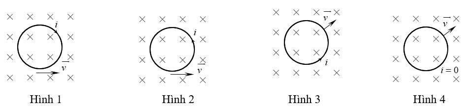 image4.png