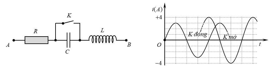image8.png