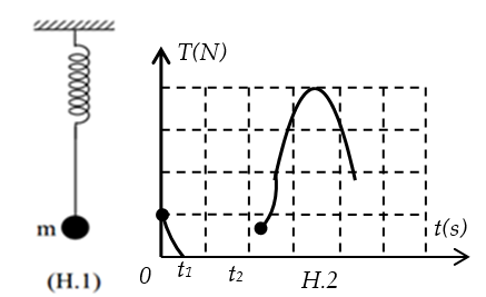image6.png