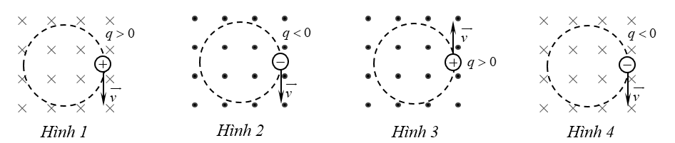 image1.png