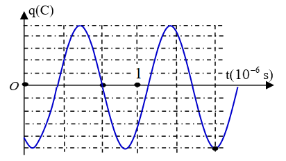 image3.png