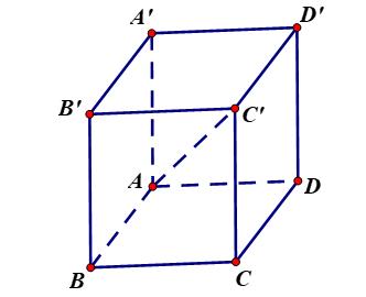 image8.png