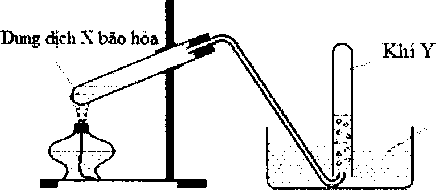 image2.png image2.png