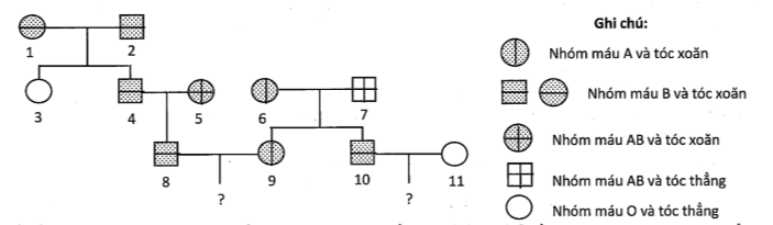 image2.png image2.png