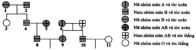 image1.png image1.png