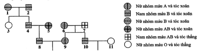 image3.png image3.png