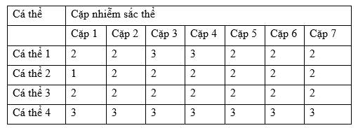 image1.png image1.png