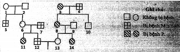 image2.png image2.png