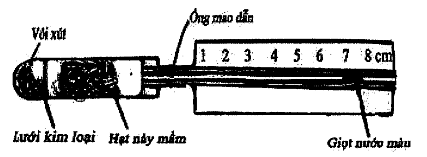 image1.png image1.png