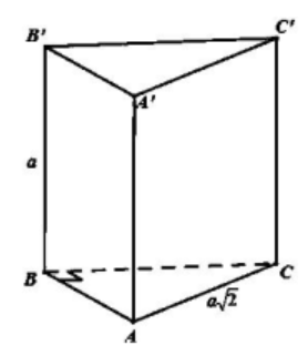 image4.png