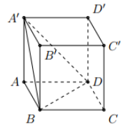 image4.png