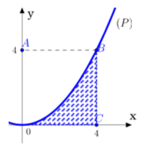 1667381025896.png 1667381025896.png