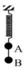 image1.png