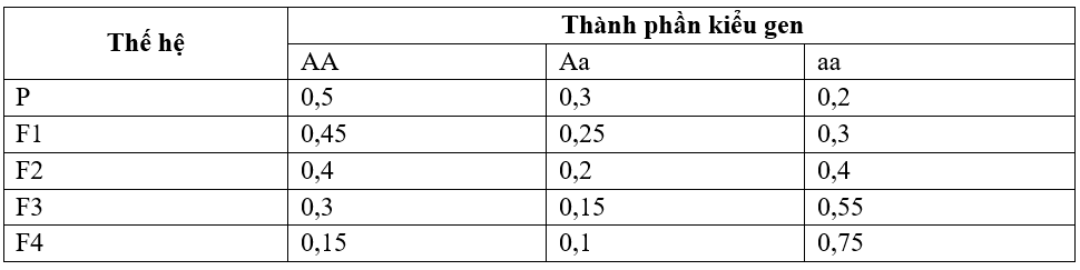 image5.png image5.png
