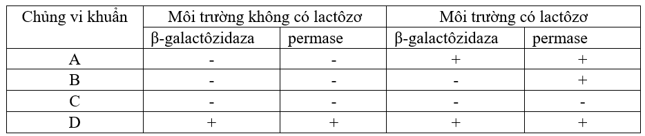 image1.png image1.png